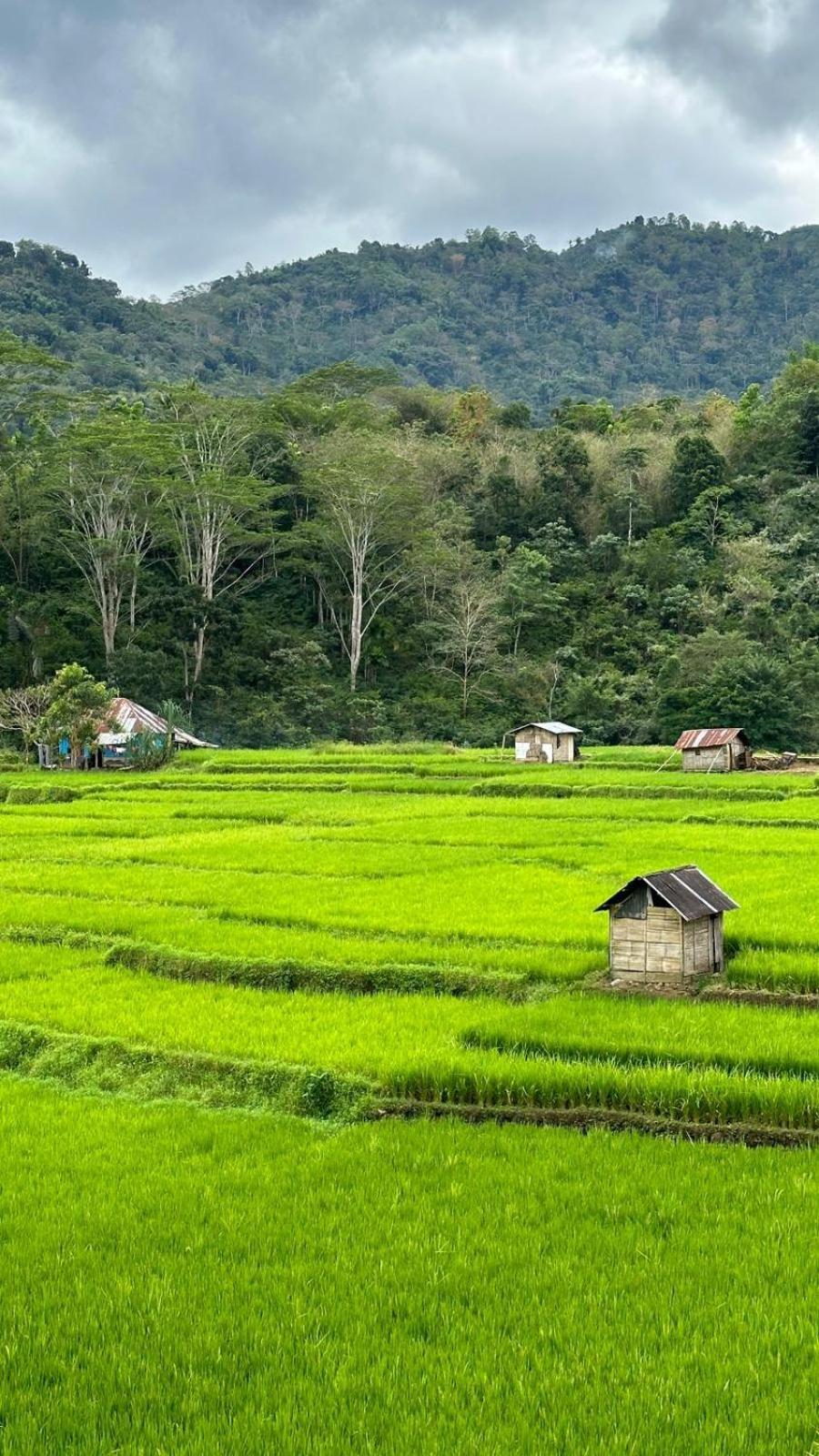 Petra Homestay Bangka Leda Ruteng Εξωτερικό φωτογραφία